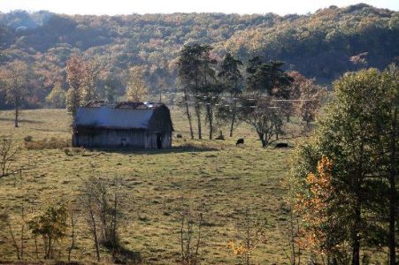Alabama harvest Image